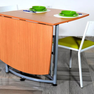Table Pliante 1
