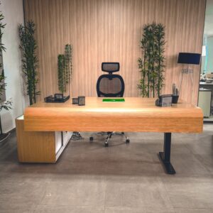 Standing Desk manager, position assis, facade galbé