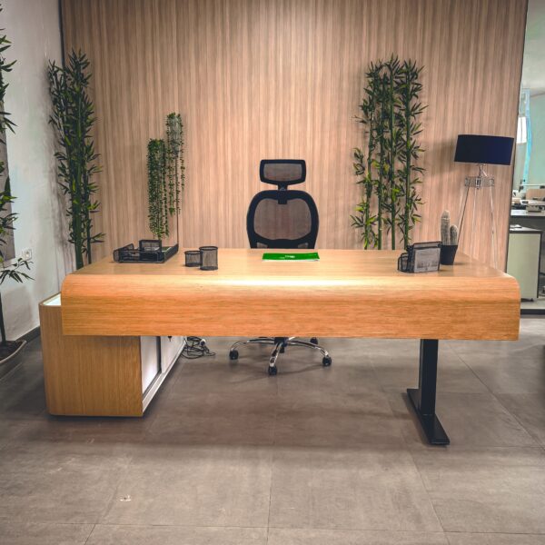 Standing Desk manager, position assis, facade galbé