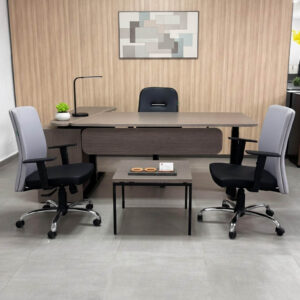 Bureau Standing Desk Zénith