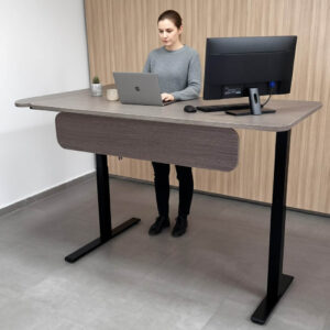 Bureau Standing Desk Zénith